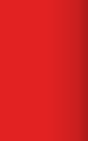 vertical-red-rectangle-2 vertical-red-rectangle-2